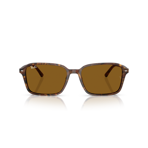 RB 2231 141833 58 Ray-Ban RAIMOND Güneş Gözlüğü