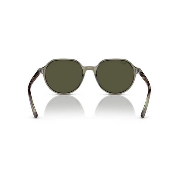 RB 2195 66355C 53 Ray-Ban THALIA Güneş Gözlüğü