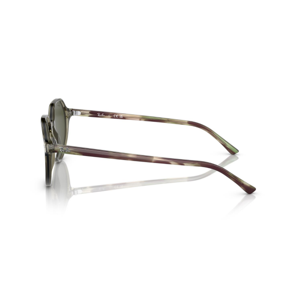 RB 2195 66355C 53 Ray-Ban THALIA Güneş Gözlüğü