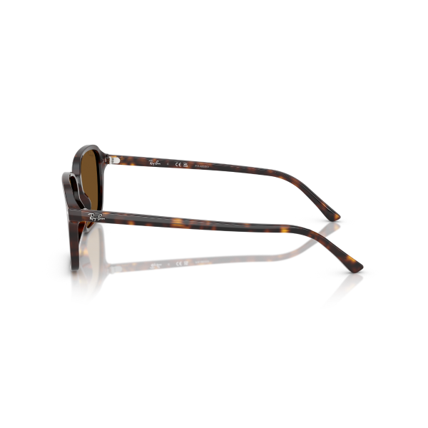 RB 2231 902/57 56 Ray-Ban RAIMOND Polarize Güneş Gözlüğü