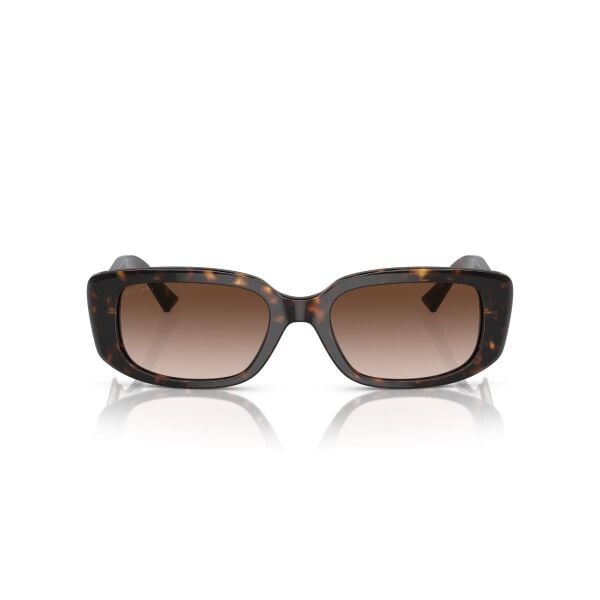 BV 8259 504/13 53 Bvlgari Güneş Gözlüğü