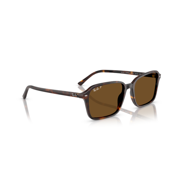 RB 2231 902/57 58 Ray-Ban RAIMOND Polarize Güneş Gözlüğü