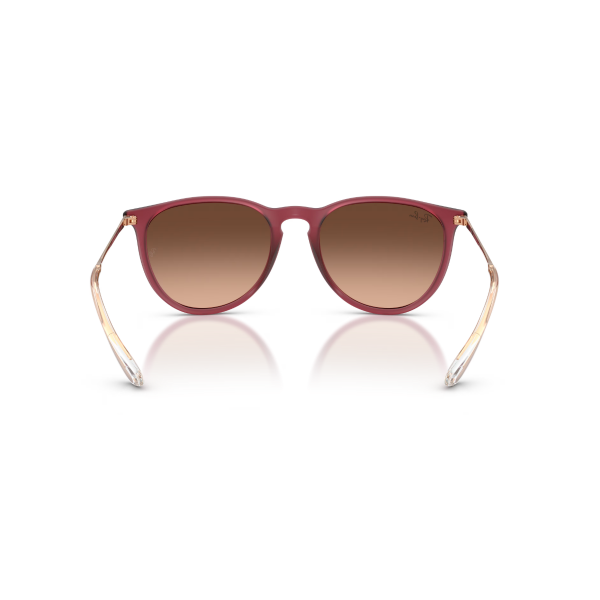 RB 4171 6815A5 54 Ray-Ban ERIKA Güneş Gözlüğü