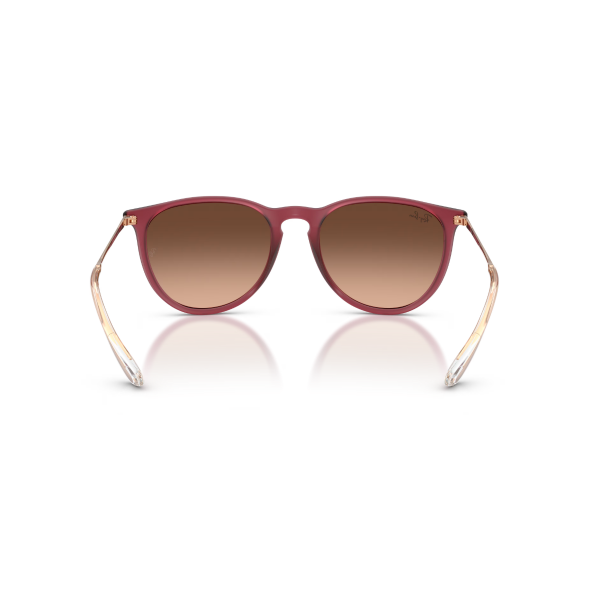 RB 4171 6815A5 54 Ray-Ban ERIKA Güneş Gözlüğü