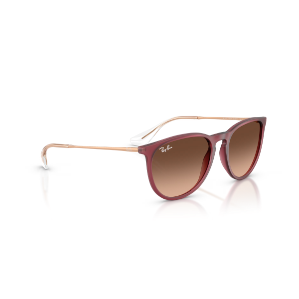 RB 4171 6815A5 54 Ray-Ban ERIKA Güneş Gözlüğü