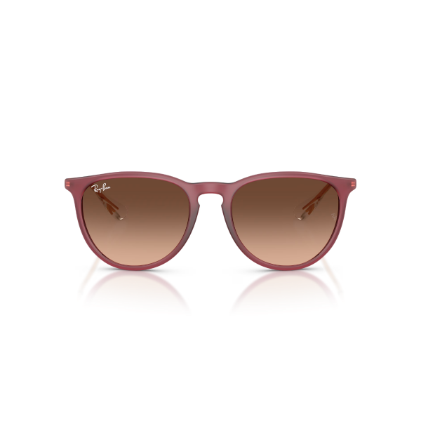 RB 4171 6815A5 54 Ray-Ban ERIKA Güneş Gözlüğü