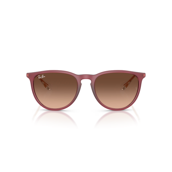 RB 4171 6815A5 54 Ray-Ban ERIKA Güneş Gözlüğü