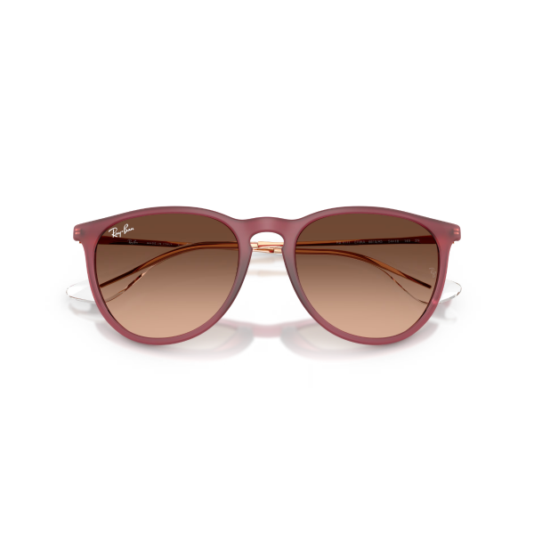RB 4171 6815A5 54 Ray-Ban ERIKA Güneş Gözlüğü