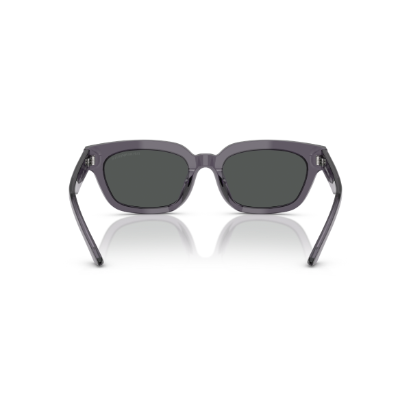 EA 4233U 610687 53 Emporio Armani Güneş Gözlüğü