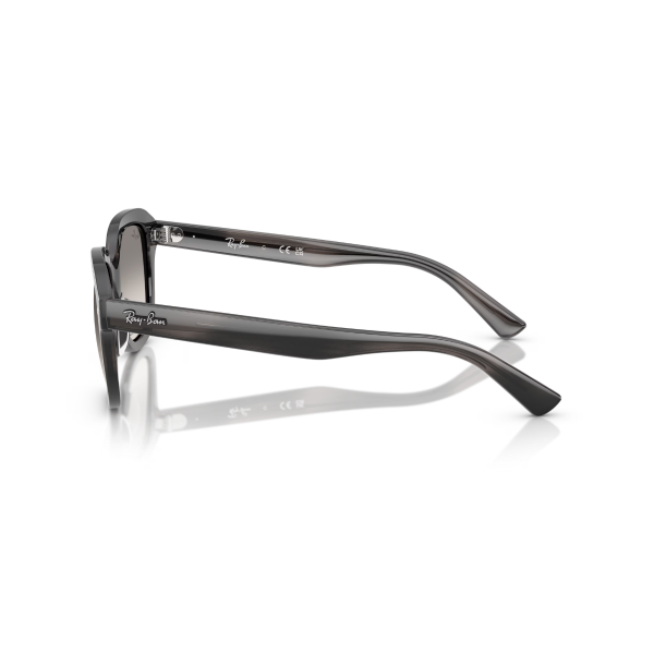 RB 4398 140432 51 Ray-Ban ERIK Güneş Gözlüğü