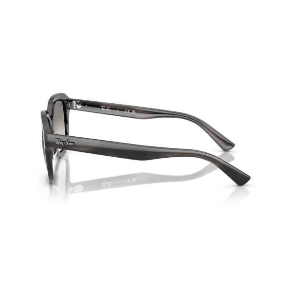 RB 4398 140432 51 Ray-Ban ERIK Güneş Gözlüğü