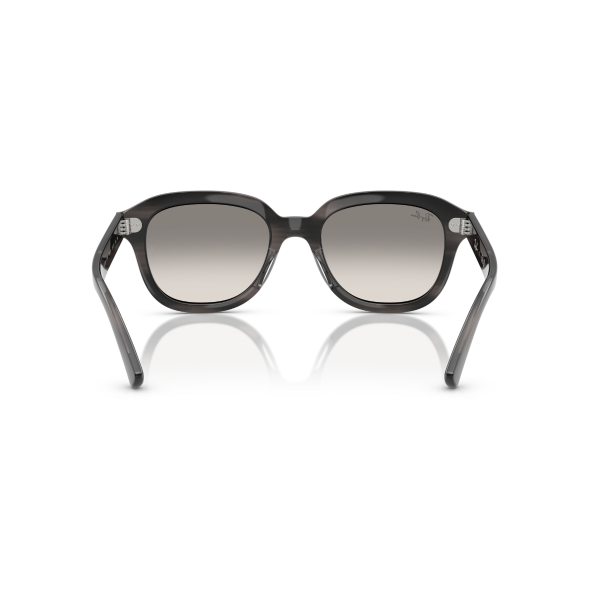 RB 4398 140432 53 Ray-Ban ERIK Güneş Gözlüğü