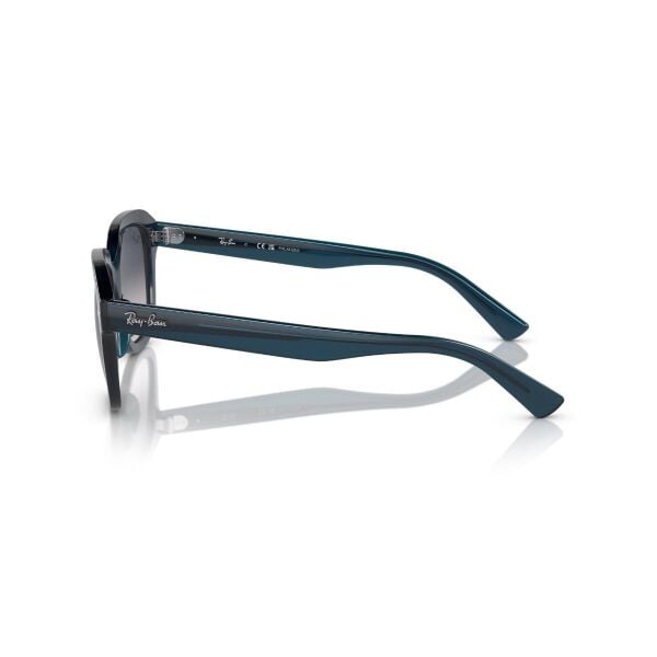 RB 4398 667678 53 Ray-Ban Erik Polarize Güneş Gözlüğü