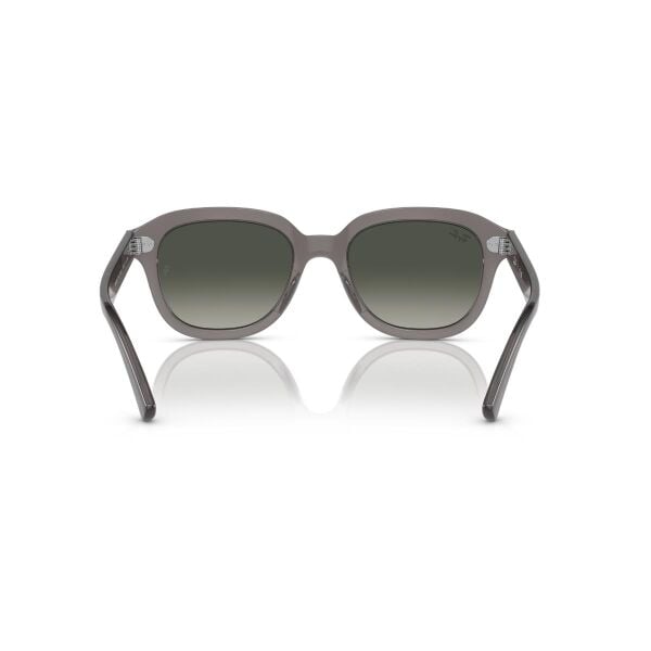 RB 4398 667571 53 Ray-Ban ERIK Güneş Gözlüğü
