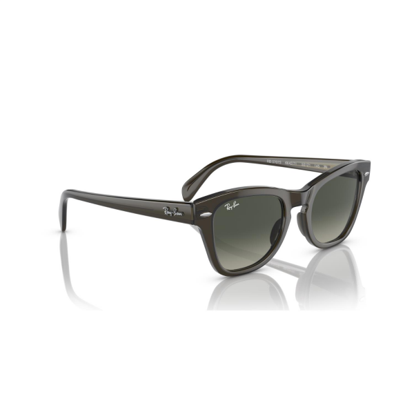 RB 0707S 664271 53 Ray-Ban Güneş Gözlüğü