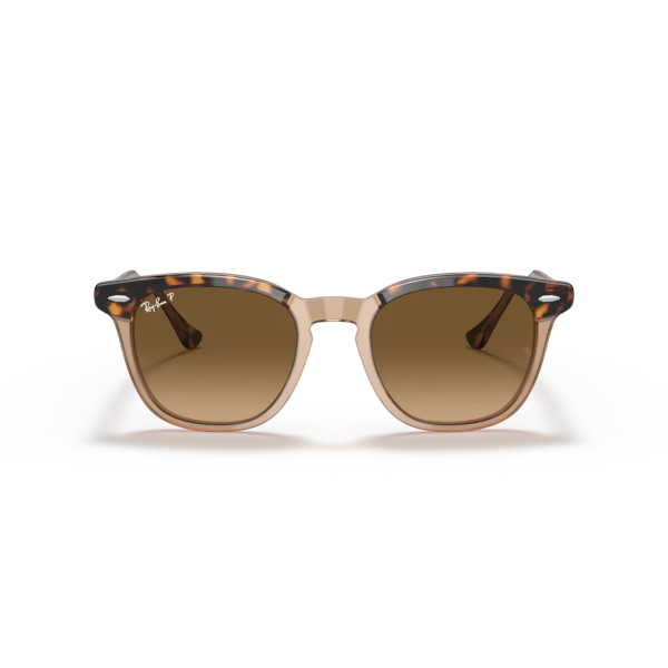 RB 2298 1292M2 50 Ray-Ban HAWKEYE Polarize Güneş Gözlüğü