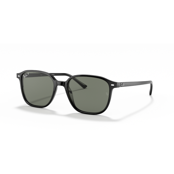 RB 2193 901/58 55 Ray-Ban LEONARD Polarize Güneş Gözlüğü