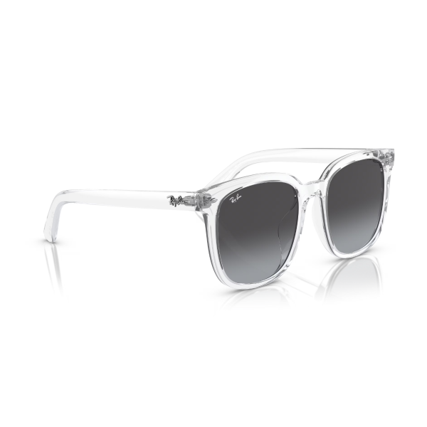 RB 4401D 64478G 55 Ray-Ban Güneş Gözlüğü