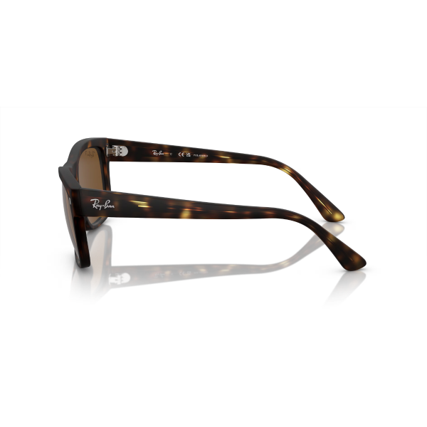 RB 4428 894/57 56 Ray-Ban Polarize Güneş Gözlüğü