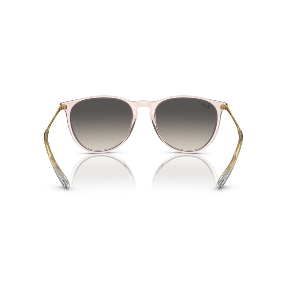 RB 4171 674211 54 Ray-Ban ERIKA Güneş Gözlüğü