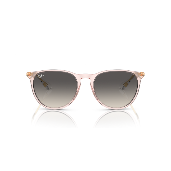 RB 4171 674211 54 Ray-Ban ERIKA Güneş Gözlüğü