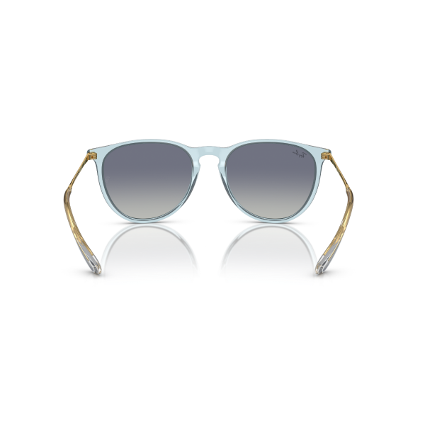 RB 4171 67434L 54 Ray-Ban ERIKA Güneş Gözlüğü