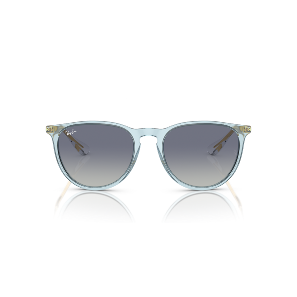 RB 4171 67434L 54 Ray-Ban ERIKA Güneş Gözlüğü