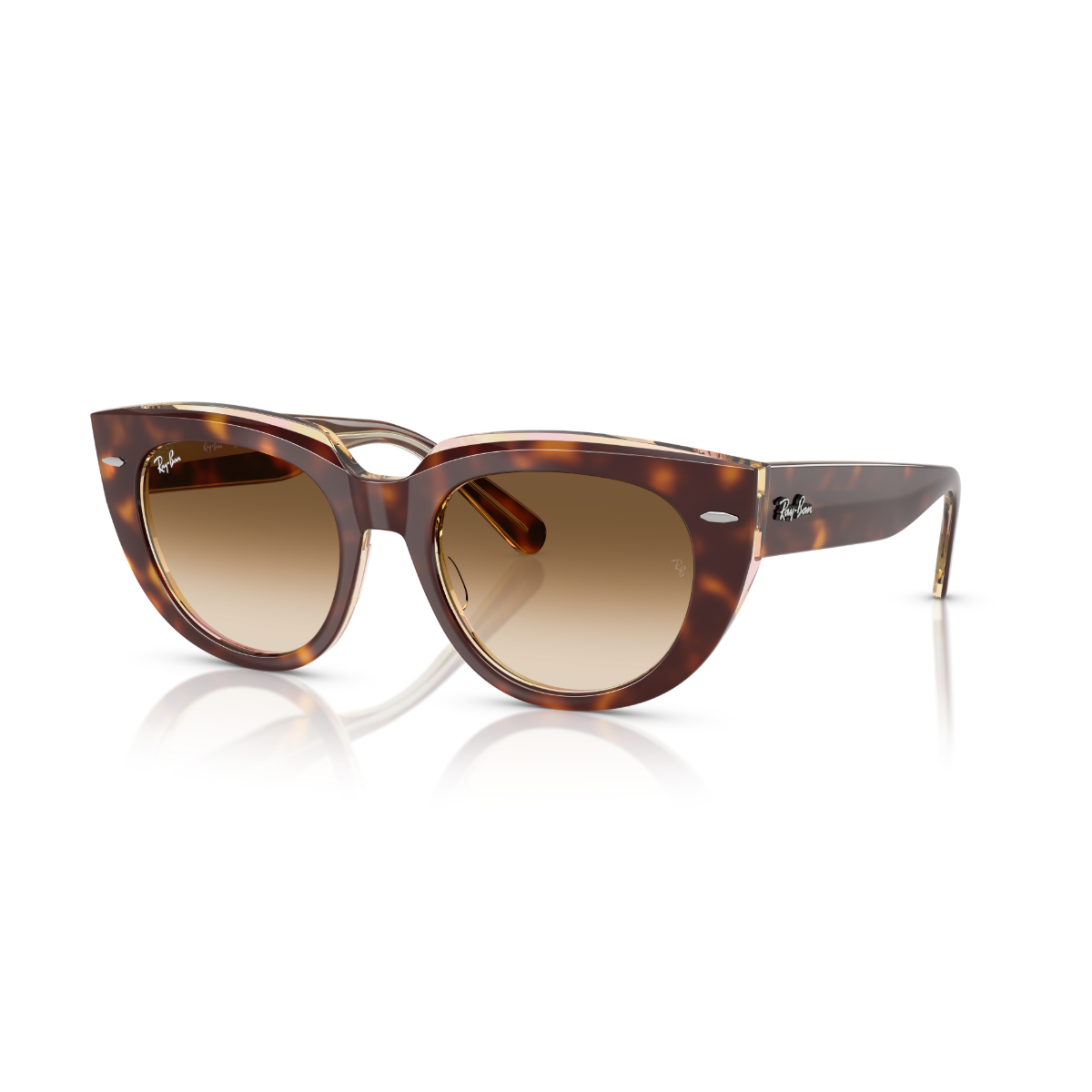 RB 2286 141451 49 Ray-Ban DOREEN Güneş Gözlüğü