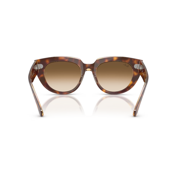RB 2286 141451 49 Ray-Ban DOREEN Güneş Gözlüğü