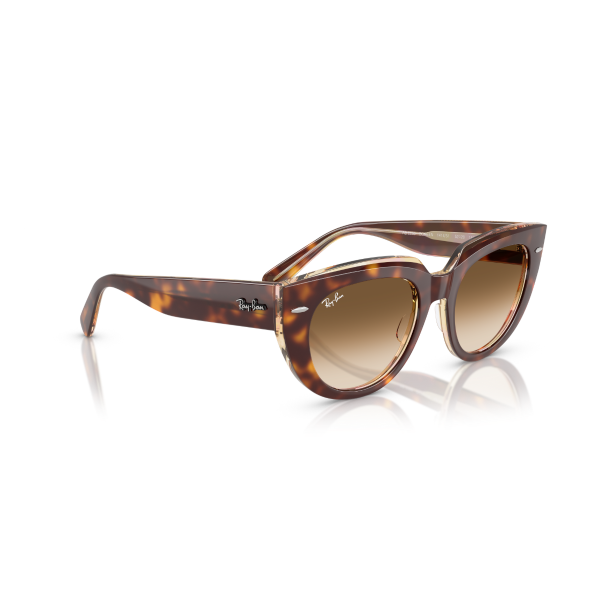 RB 2286 141451 49 Ray-Ban DOREEN Güneş Gözlüğü