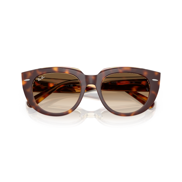 RB 2286 141451 49 Ray-Ban DOREEN Güneş Gözlüğü