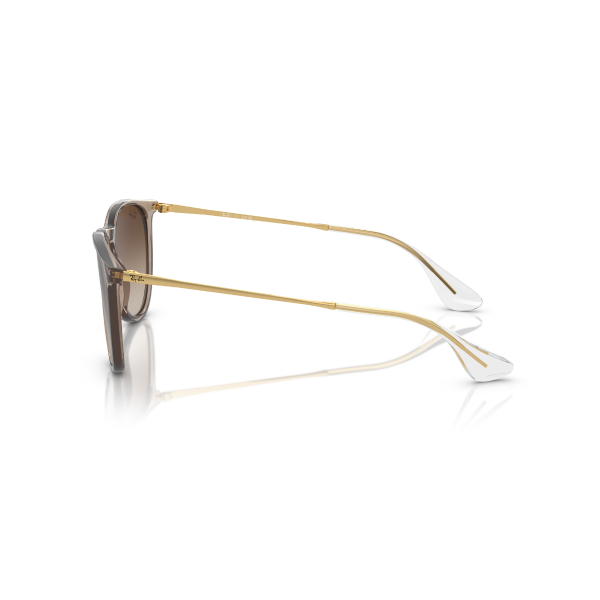 RB 4171 674413 54 Ray-Ban ERIKA Güneş Gözlüğü