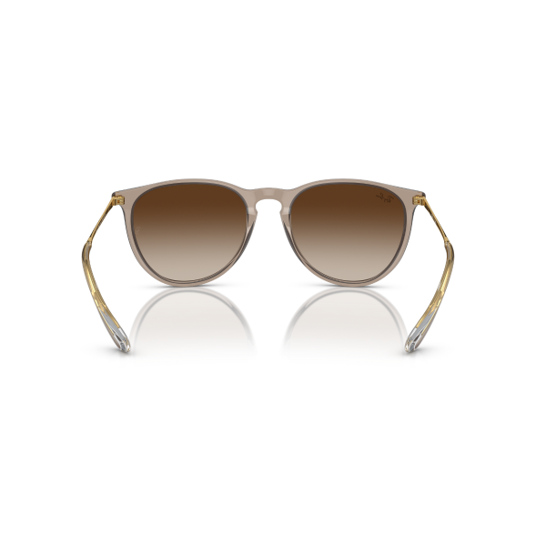 RB 4171 674413 54 Ray-Ban ERIKA Güneş Gözlüğü