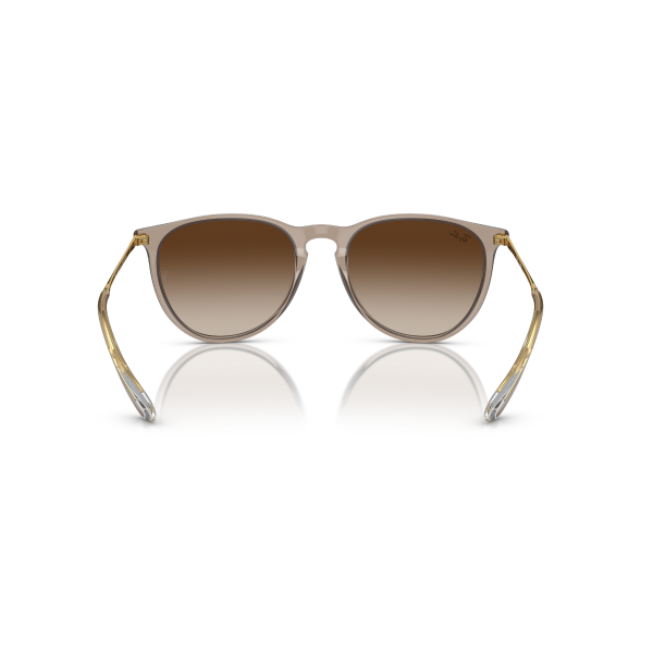 RB 4171 674413 54 Ray-Ban ERIKA Güneş Gözlüğü
