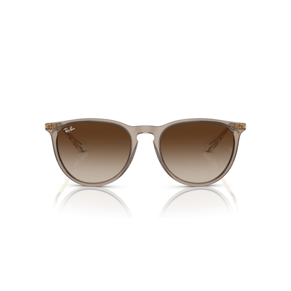 RB 4171 674413 54 Ray-Ban ERIKA Güneş Gözlüğü