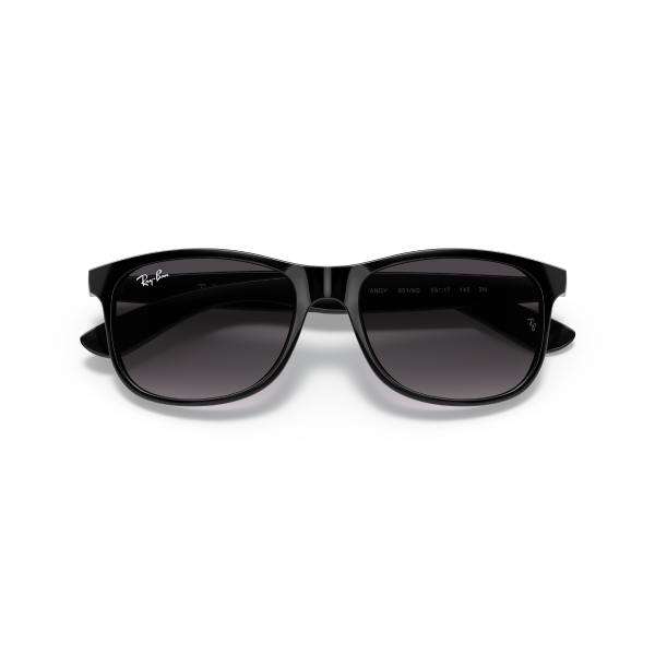 RB 4202 601/8G 55 Ray-Ban ANDY Güneş Gözlüğü