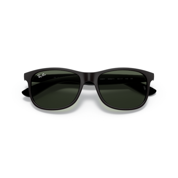 RB 4202 606971 55 Ray-Ban ANDY Güneş Gözlüğü