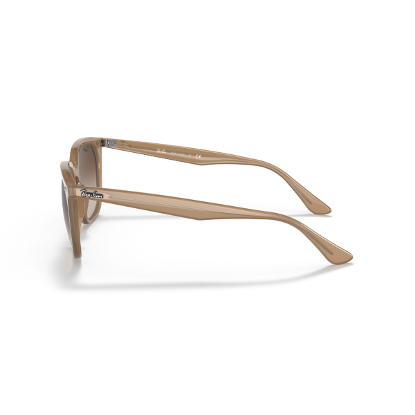 RB 4362 616613 55 Ray-Ban Güneş Gözlüğü