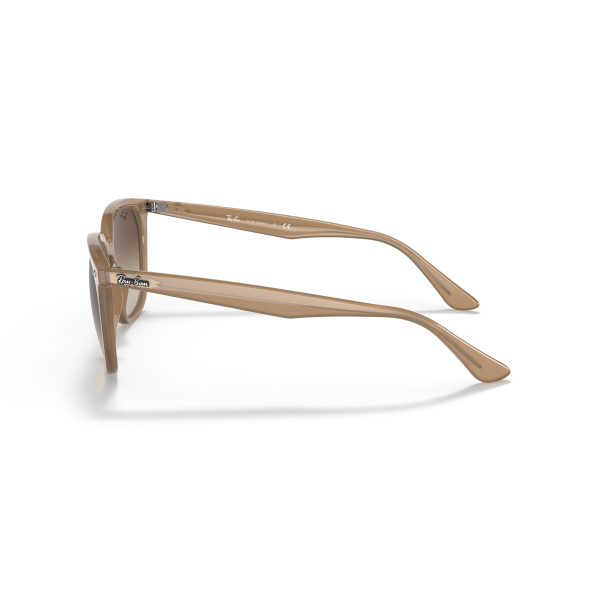 RB 4362 616613 55 Ray-Ban Güneş Gözlüğü