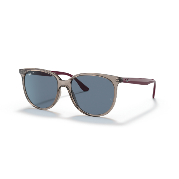 RB 4378 65722V 54 Ray-Ban Polarize Güneş Gözlüğü