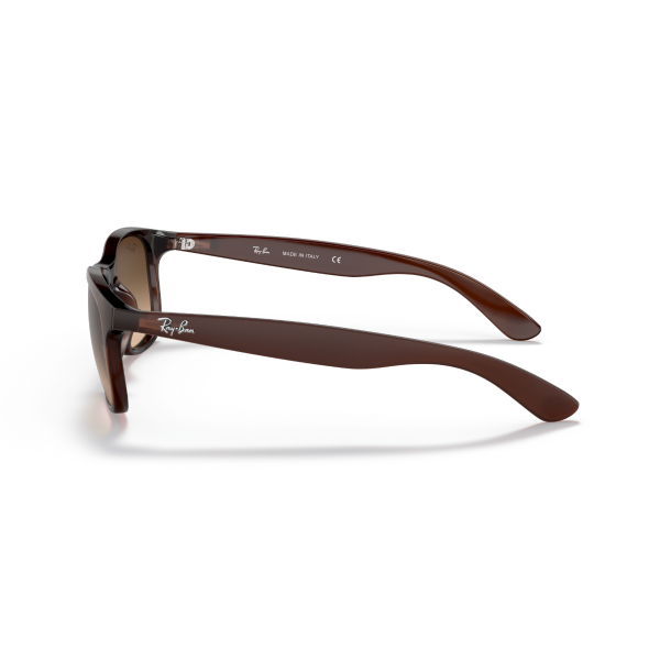 RB 4202 607313 55 Ray-Ban ANDY Güneş Gözlüğü