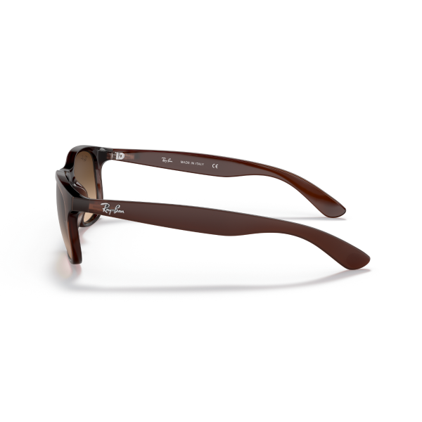 RB 4202 607313 55 Ray-Ban ANDY Güneş Gözlüğü