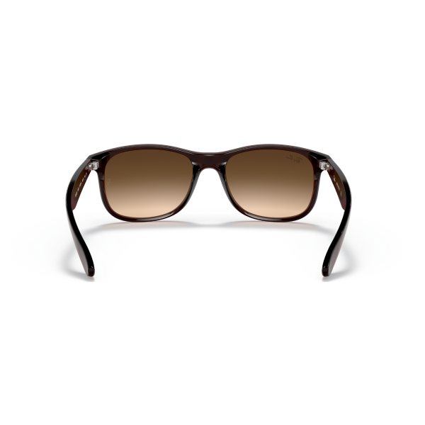 RB 4202 607313 55 Ray-Ban ANDY Güneş Gözlüğü