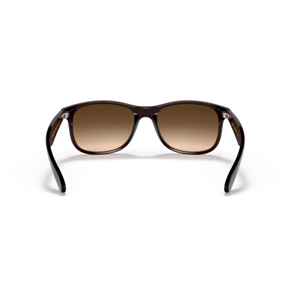 RB 4202 607313 55 Ray-Ban ANDY Güneş Gözlüğü