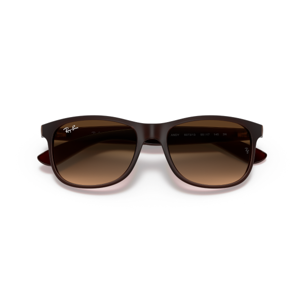 RB 4202 607313 55 Ray-Ban ANDY Güneş Gözlüğü
