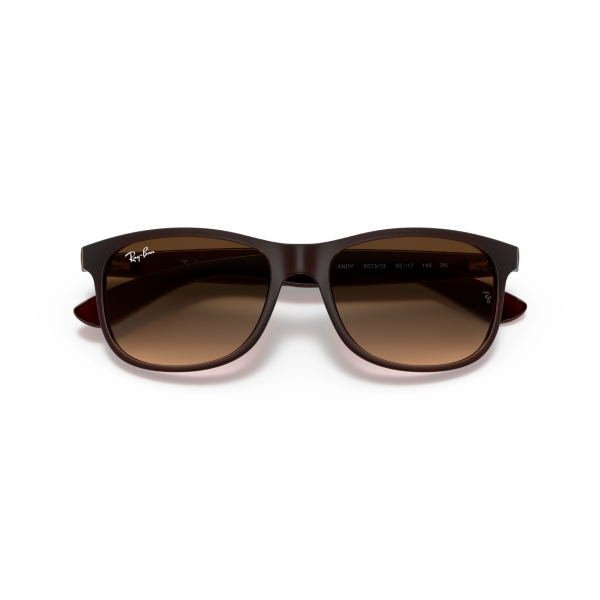 RB 4202 607313 55 Ray-Ban ANDY Güneş Gözlüğü