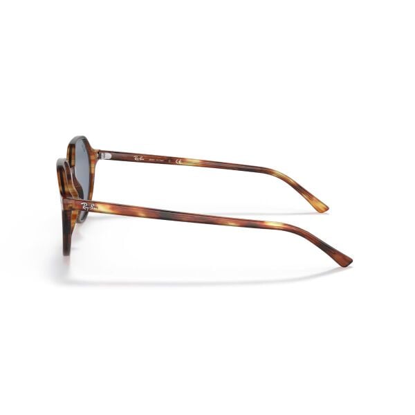RB 2195 954/62 51 Ray-Ban THALIA Güneş Gözlüğü