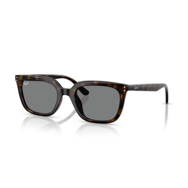 RB 4439D 710/87 54 Ray-Ban Güneş Gözlüğü