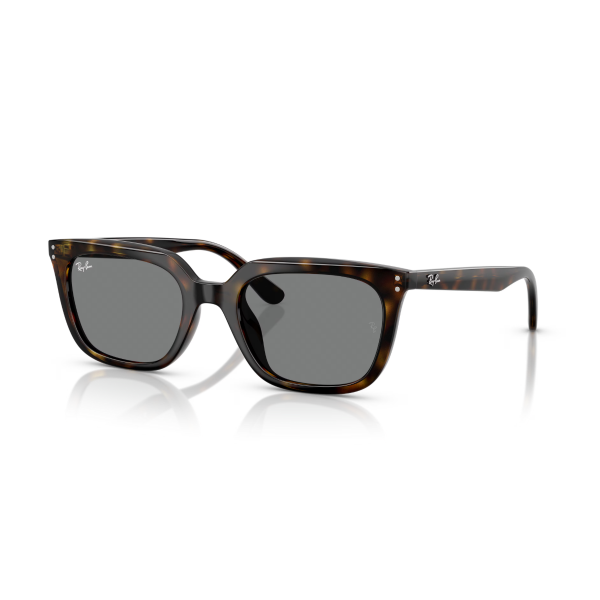 RB 4439D 710/87 54 Ray-Ban Güneş Gözlüğü