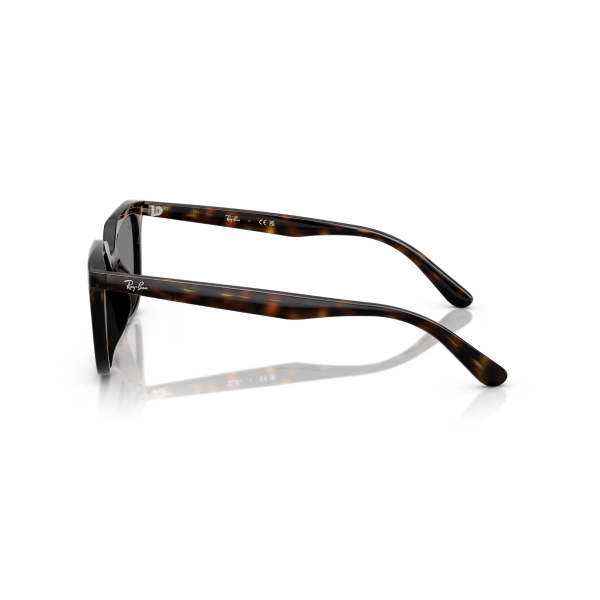 RB 4439D 710/87 54 Ray-Ban Güneş Gözlüğü